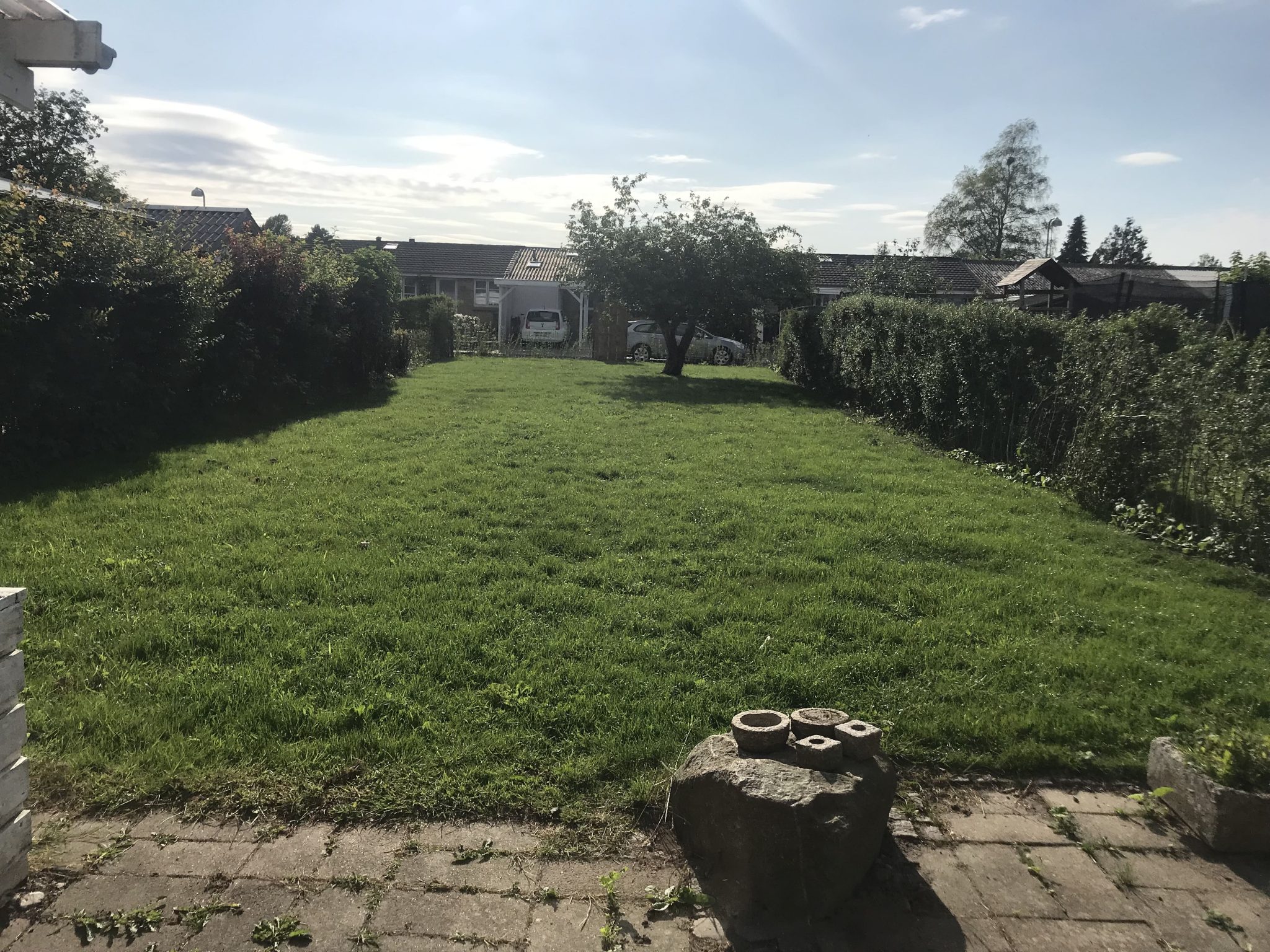 Fjernelse samt anlæggelse af græsplæne Odense